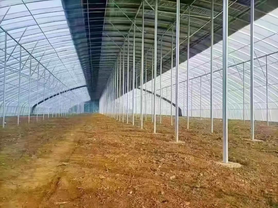 温室大棚温室大棚
